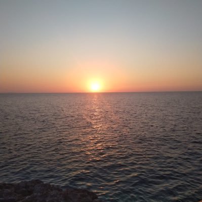 alexmorenoantz's profile picture. 