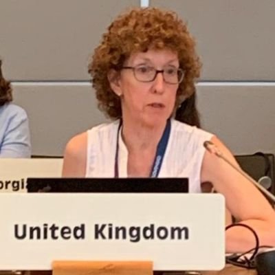 Deputy Head of UK Delegation to the Organization for Security & Co-operation in Europe (OSCE). Lover of cats, cake & challenging the taboo around the menopause