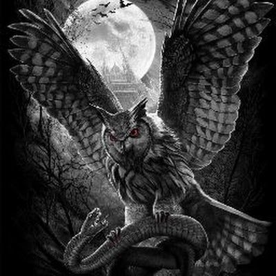 NicoBen34652083's profile picture. 