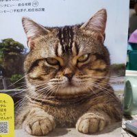 Factory MORI (@factorymori) Twitter profile photo