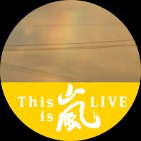 くるりん☆ココア (@kururinkokoa) 's Twitter Profile Photo