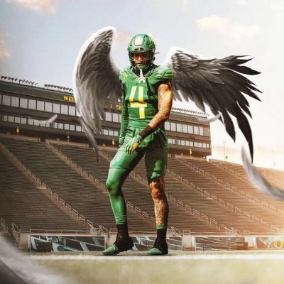 A worker, a gamer, a father, Forever a Duck fan!