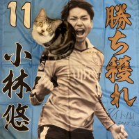 はまんたーれ (@hamanta1616) 's Twitter Profile Photo はまんたーれ (@hamanta1616) 's Twitter Profile Photo
