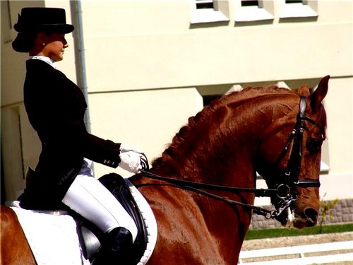 NazeliTS's profile picture.