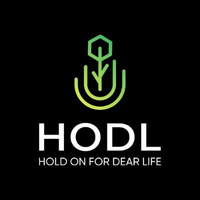Hold on for dear life (HODL) A reward base project, we're presenting a new digital asset.
Join our Discord Community; discordgg/hodldefi