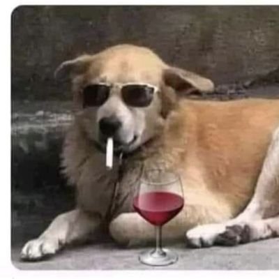 CathyJoOliver's profile picture. 