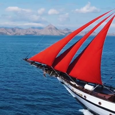 Luxury yacht charter and scuba diving operating in the Komodo National Park & wherever you wish to cruise and explore.
info@indoseadventures.com