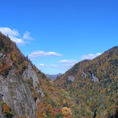 懸賞用作り直しました　宜しくお願いします☺️
❋旅行❋車❋写真❋グルメ❋お酒❋音楽❋　　懸賞垢様…無言フォローお許し下さい‼️