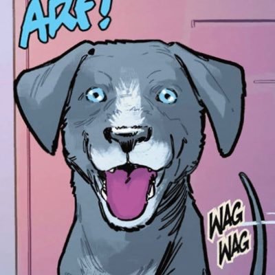 birdy91201's profile picture. 