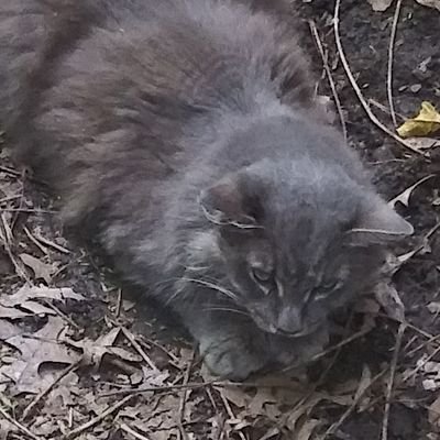 Mark95859982's profile picture. 