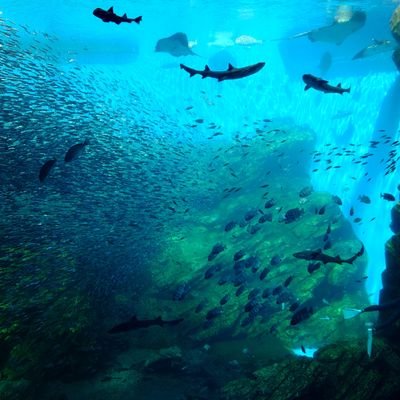 rain_m5d23's profile picture. 