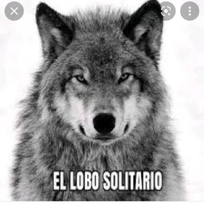 Sr_Lobit0's profile picture. Mediador