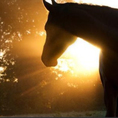 a5x_anya's profile picture. Wild, Free, Happy! ❤️