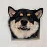 weixiaochen7's profile picture. 私信不回爱看片

我高喊无爱者自由可余光还是看向了被爱者.