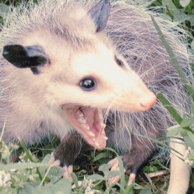 locked tomb, destiny 2, other stuff | grad school | she/her | 30s | header: https://t.co/LLWeUB91nK | half of @onefleshonepod