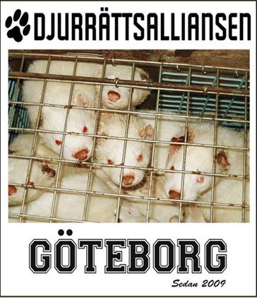 Djurrättsalliansen Göteborg