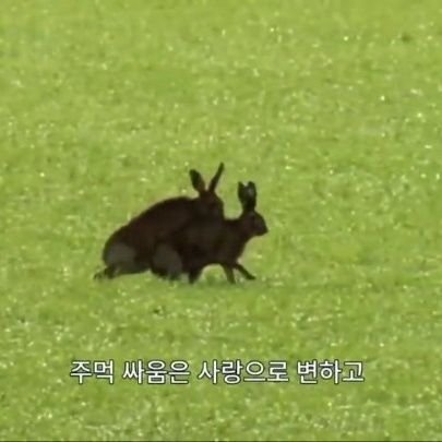 얭키웨이さんのプロフィール画像