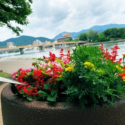 BbShmf's profile picture. 2023.7.5大動脈弁置換済 これからの様子を記録していこうと思います 闘病用アカウント