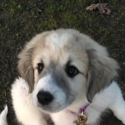 clydeb2008's profile picture. 