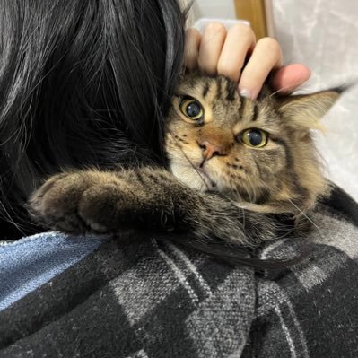 m06157's profile picture. Focus on car light modification, motorcycle light modification