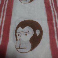 よっぴ猿(@tVfQDkCRB8c941E) 's Twitter Profile Photo