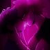 l͛o͛l͛z͛ (@elexielb) Twitter profile photo l͛o͛l͛z͛ (@elexielb) Twitter profile photo
