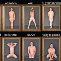 Vimepass (@forfaggot) 's Twitter Profile