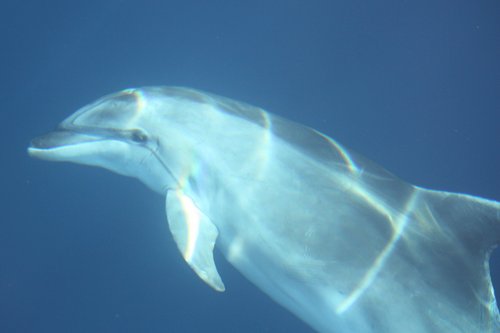 PaoloGuidoni's profile picture. 