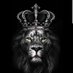 La Place du Lion (@offlyonly) Twitter profile photo La Place du Lion (@offlyonly) Twitter profile photo