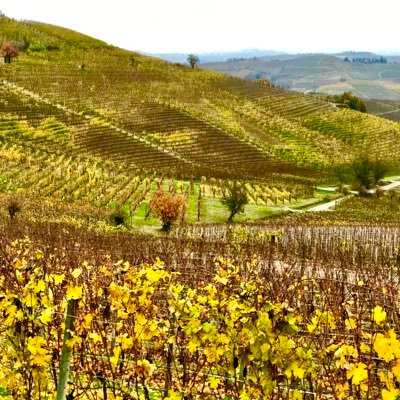 CobAltEgo's profile picture. Husband, father, business owner, techno optimist.