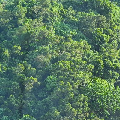 45wjqcHMxgfE4fO's profile picture. 