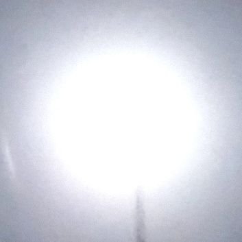 chunbeweglich's profile picture. 