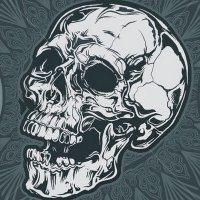 Matthew Kuzdzal (@matthewkuzdzal) 's Twitter Profile