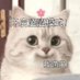 300cc (@keyijiaowoxiaoc) Twitter profile photo 300cc (@keyijiaowoxiaoc) Twitter profile photo