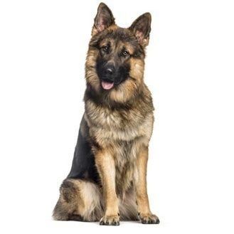 Gradje31's profile picture. Realistisch, wakker,onderzoekend, anti woke, anti eu en ongevaccineerd 💙🤍❤
Houd niet van onrecht, en heb een hekel aan mensen die leugens vertellen.