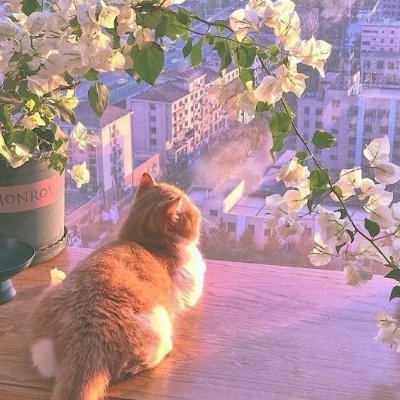 jbexx03's profile picture. My INNER landscape. ✨plum.lilac.periwinkle.lavender✨