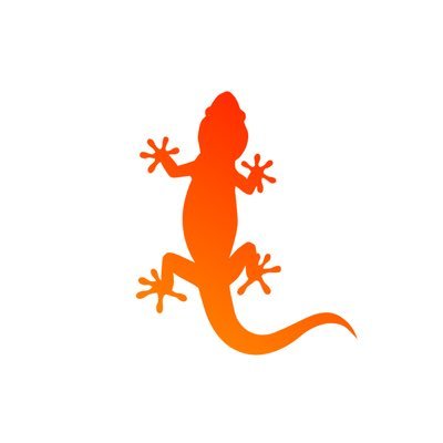 A Distinguished Swift Conference in Southern Europe. 🇵🇹 #swiftlang #lisbon #portugal