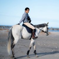 神瑛一郎@Horse Value代表 (@yoichiro_jin) 's Twitter Profile