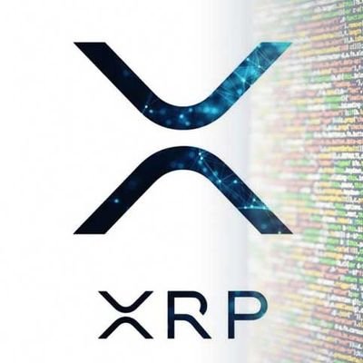 Business developer in Swedish government. Experience in IT, financial sector, security sector, retail sales/import & manufacturing industry. XRP-enthusiast.