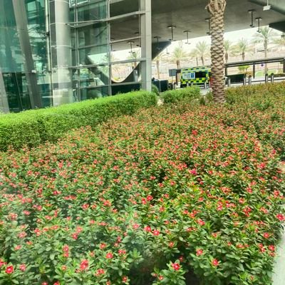 EmmaMoo77144544's profile picture. 