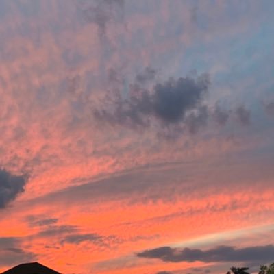 nvernazza1's profile picture. 