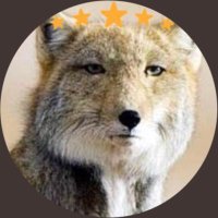 ユモ (@yumo1945) 's Twitter Profile