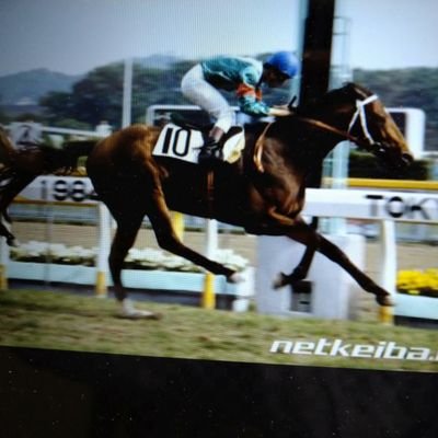 drwrestl's profile picture. 大手証券のカモ。⛳、🐎、ランチ巡り生き甲斐。現役のため秘湯♨遠ざかっております。