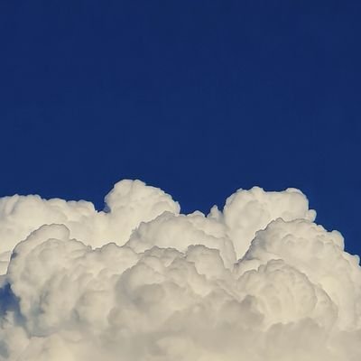 lyuminho6's profile picture. 