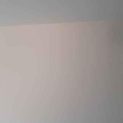 shleckter's profile picture. 