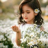 سمر الخضر (@smralkhdr) 's Twitter Profile