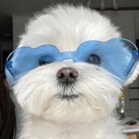 김파랑 (@shjcblue) 's Twitter Profile Photo 김파랑 (@shjcblue) 's Twitter Profile Photo