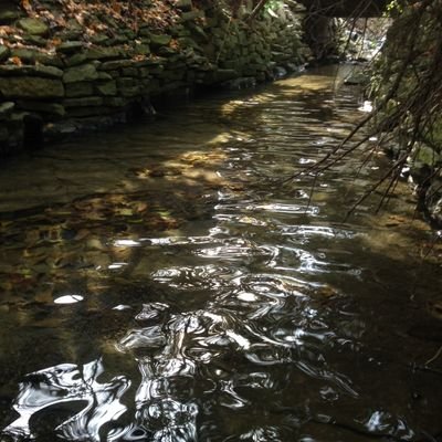 Executive Director of Watersheds of South Pittsburgh and enthusiastic water resources advocate.