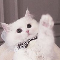 𝐦𝐮𝐲𝐮 (@muu__0126) Twitter profile photo
