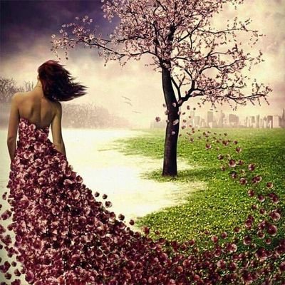 JamesCa80890610's profile picture. Keep asking questions.